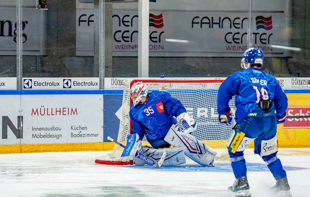 Torh&uuml;ter im blauen Dress pariert einen Schuss, Mitspieler Nr. 19 l&auml;uft heran, Bandenwerbung im Hintergrund